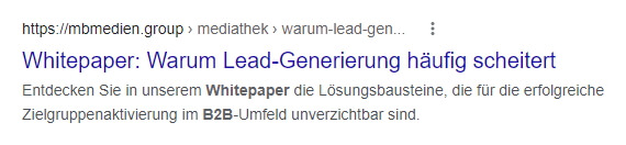 Google-Suche Whitepaper Leadgenerierung